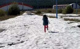 Ardahan’da gece etkili olan dolu, güneşli havaya rağmen erimedi