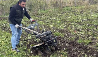 Ardahan’da Kekik Üretimi ile Tarımsal Çeşitlilik Artıyor