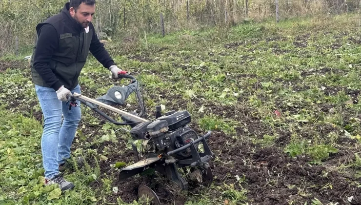 Ardahan’da Kekik Üretimi ile Tarımsal Çeşitlilik Artıyor