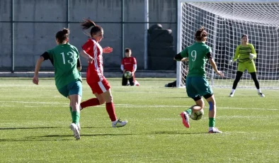 Dostluk Maçı: Ardahan Kuru Gençlik Spor 2-5 Gürcistan Akhal Gori